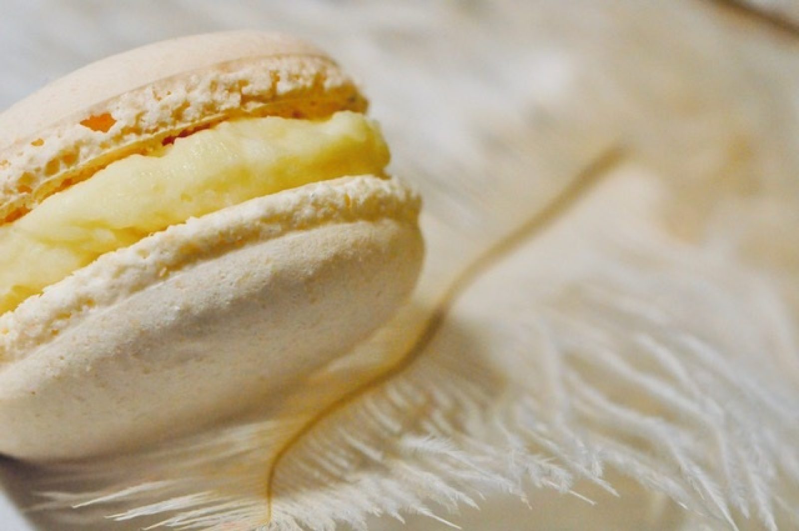 Macaron
Goût du roi 
Ambacht 
top product 
artisanaal