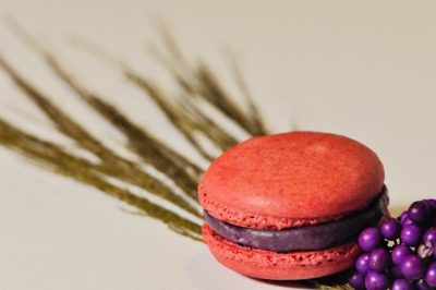 Bosvruchten macaron 
Goût du roi 
Ambachtelijk 
koop lokaal 
Puurs
Bornem 
Wintam