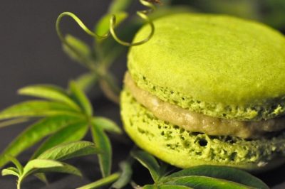 Macaron 
Goût du roi 
Pistache 
ambachtelijk 
Koop lokaal 
bornem 
Wintam 
puurs