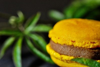 Macaron 
passievrucht 
Goût du roi 
ambachtelijk 
koop lokaal 
Bornem  puurs Wintam