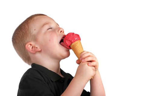 Lekker ijs 
sorbet met echt vruchten 
genieten Bornem 
ambacht 
Goût du roi